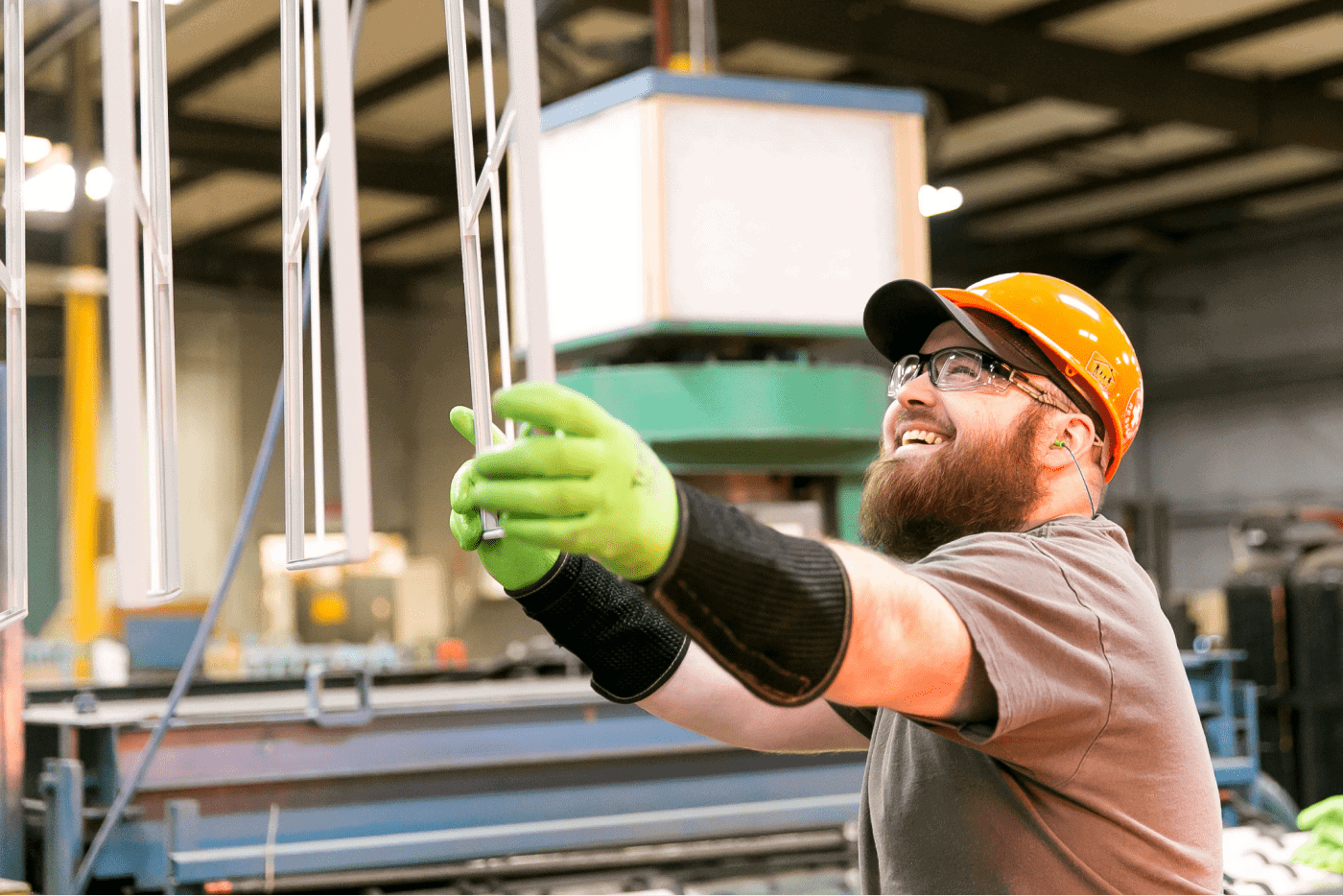 Clayton Windows Plant C beard
